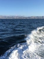 Left Coast Sportfishing